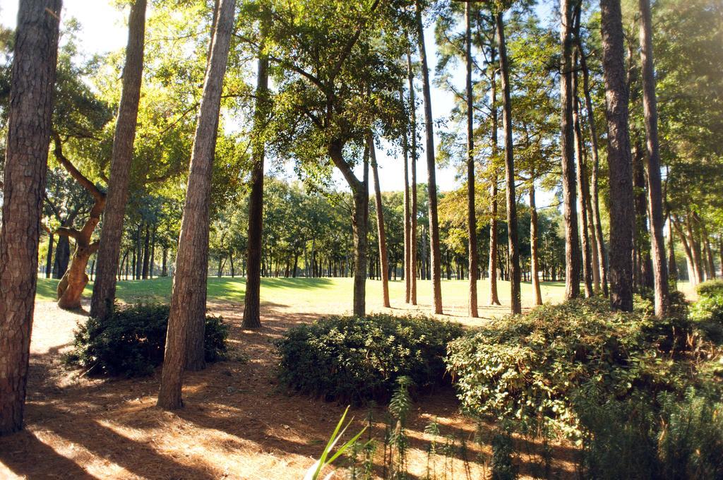 Pawleys Plantation Golf & Country Club Hotel Pawleys Island Exterior photo